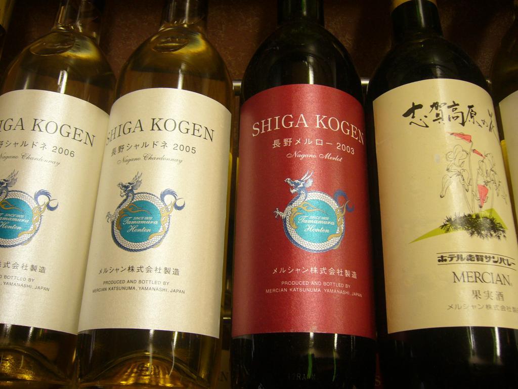 יאמנוצ'י Shiga Kogen Hotel Shiga Sunvalley מראה חיצוני תמונה