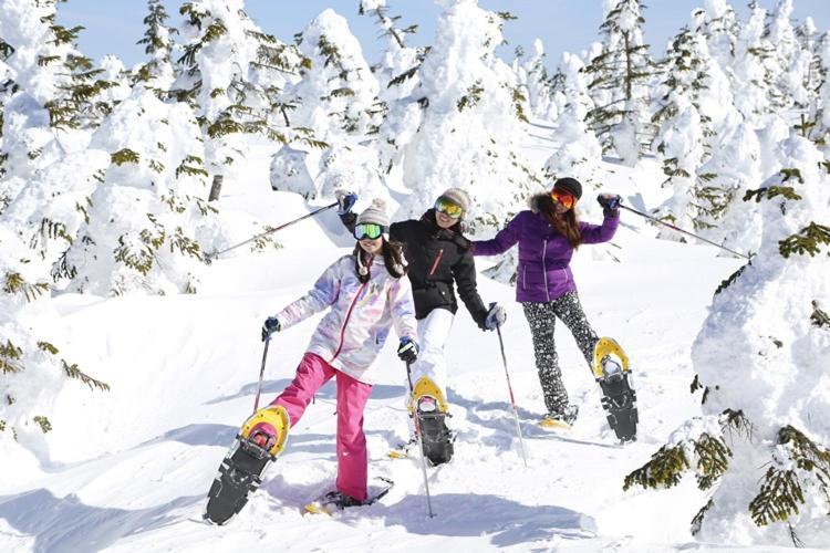יאמנוצ'י Shiga Kogen Hotel Shiga Sunvalley מראה חיצוני תמונה